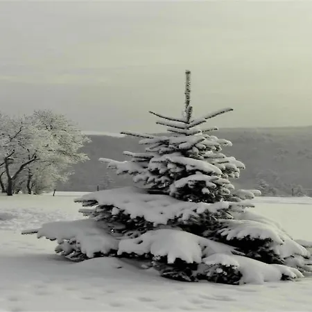 In In The Southern Eifel * Waxweiler