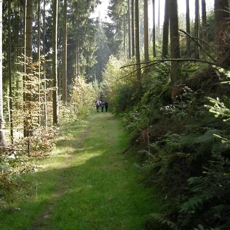 In In The Southern Eifel *